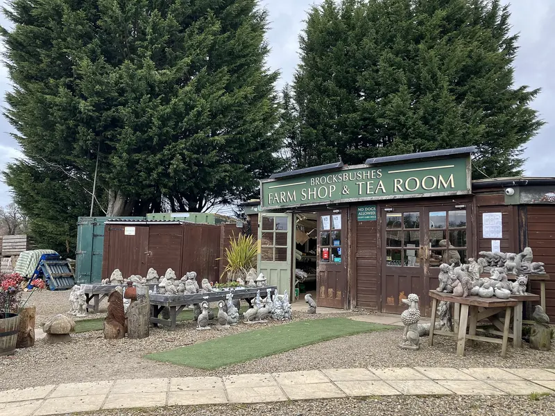 The low timber farm shop and tea room at Brocksbushes, with garden ornaments and planters set out in front and tall conifers behind